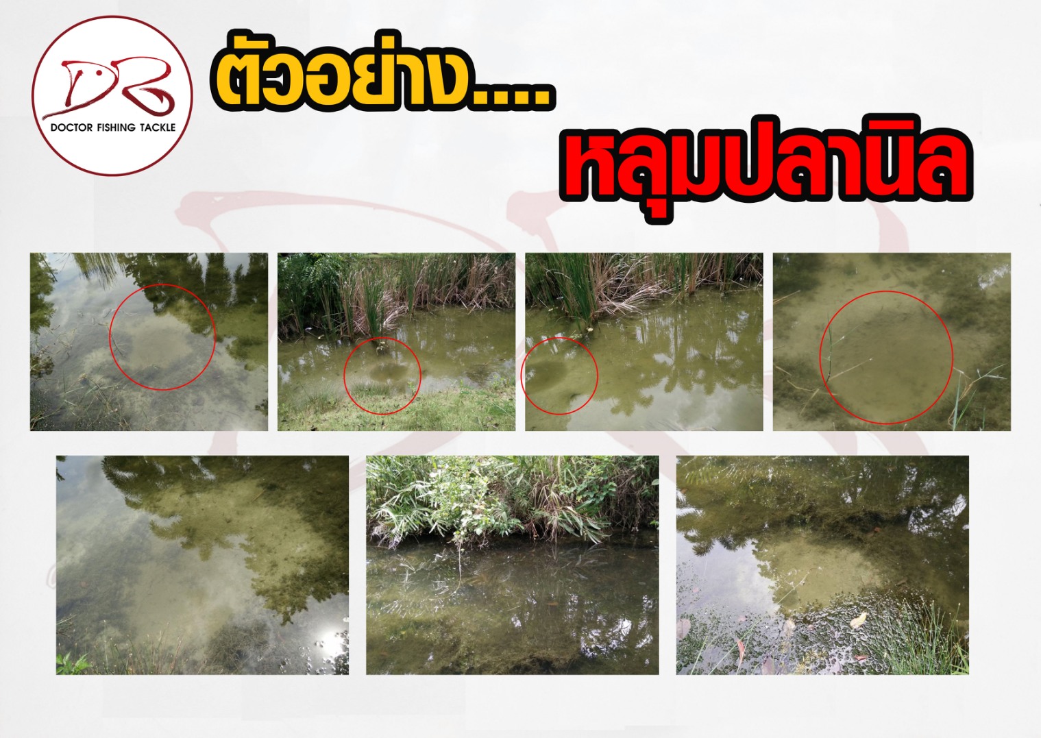 Images/Blog/HXe5xBi6-หลุมปลานิล.jpg